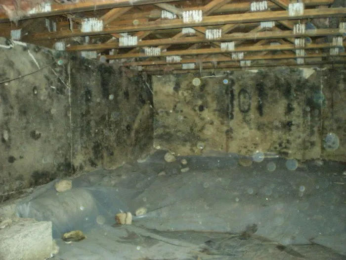 EcoTreck Environmental Inc Steamboat Picture 10