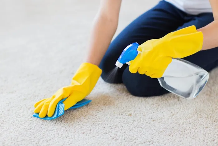 ServiceMaster Cleaning and Restoration by SteamExpress Picture 5