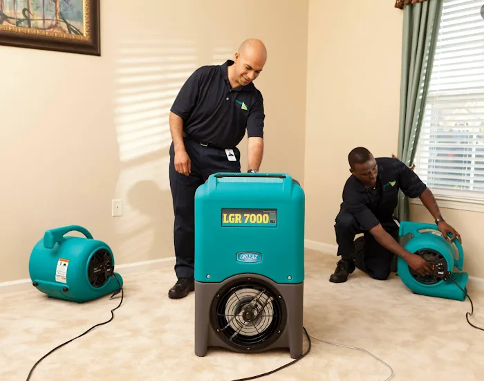 ServiceMaster Cleaning and Restoration by SteamExpress Picture 1