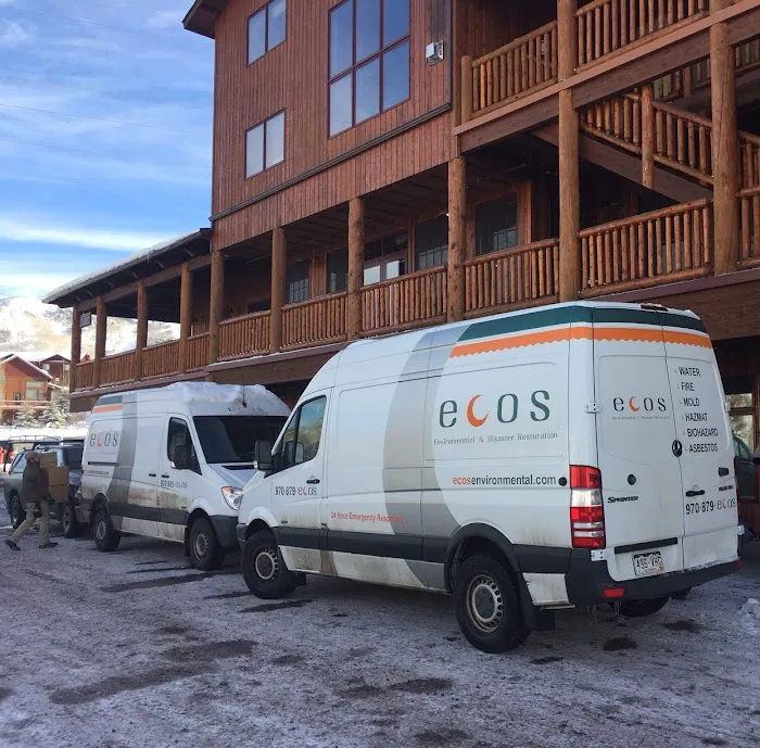 ECOS Environmental & Disaster Restoration, Inc. Picture 3