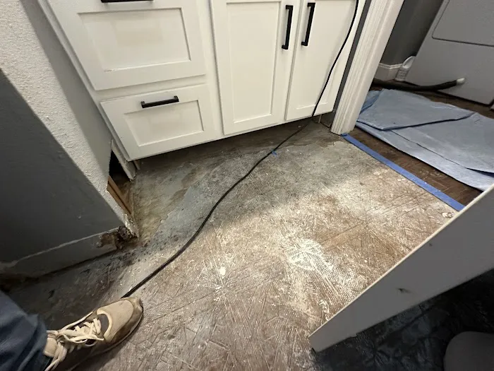 Noah's Flood Restoration Picture 2