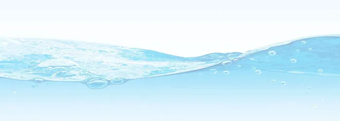 Noah's Flood Restoration Picture 8