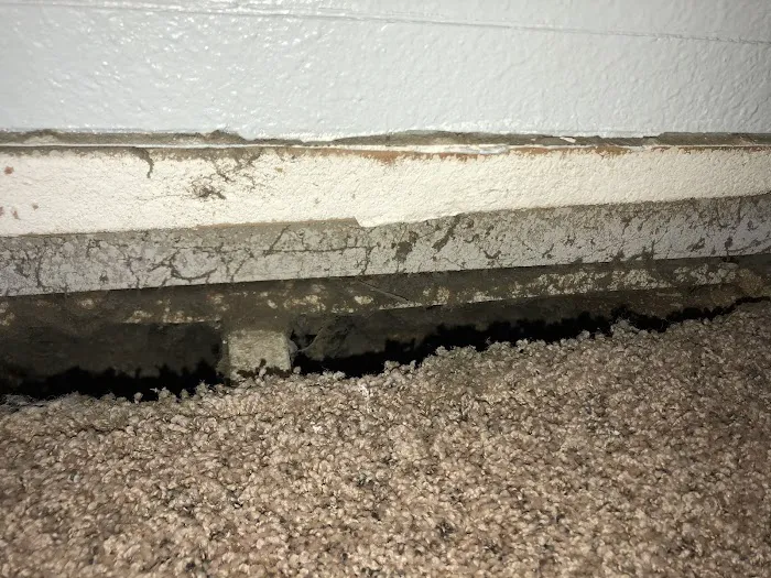 Cowboy Jones Carpet Cleaning LLC Picture 9