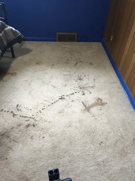 Cowboy Jones Carpet Cleaning LLC Picture 8