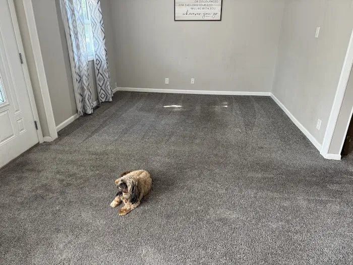 Cowboy Jones Carpet Cleaning LLC Picture 5