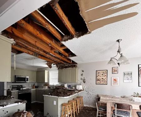 PuroClean of Columbia