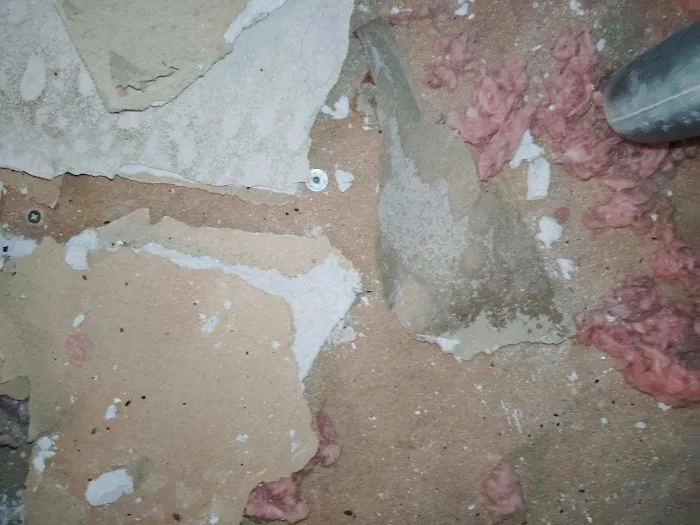 DryGuys Restoration Picture 5