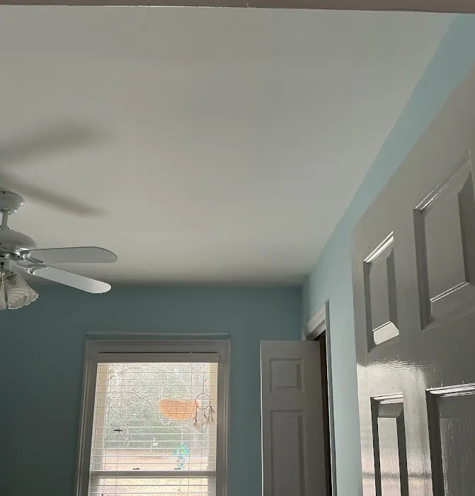 BELFOR Property Restoration (Columbia) Picture 2