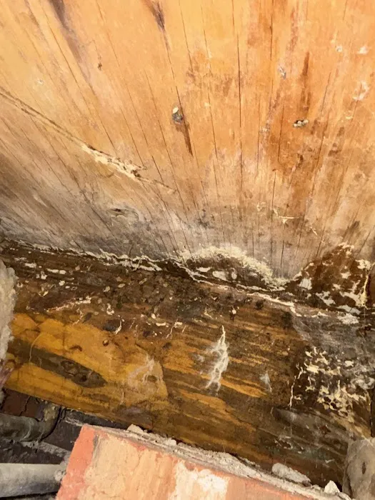 Kingsley Water Damage & Fire Cleanup Picture 3