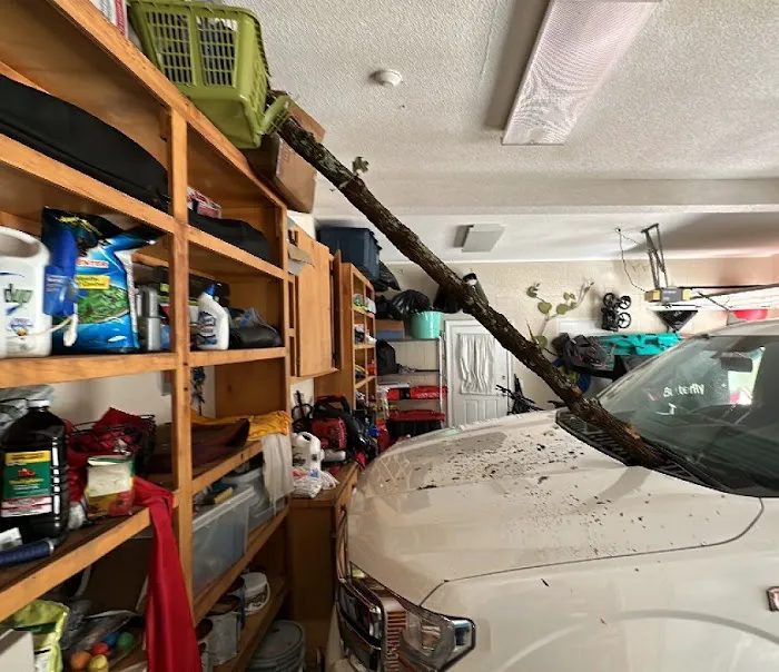 Edmondson Restoration Picture 5