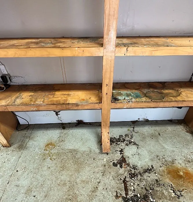 Edmondson Restoration Picture 6