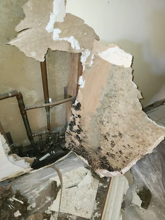 Midlands Restoration Services Picture 4