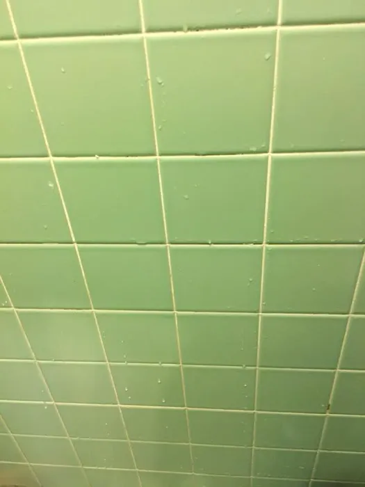 Royal Treatment Picture 3