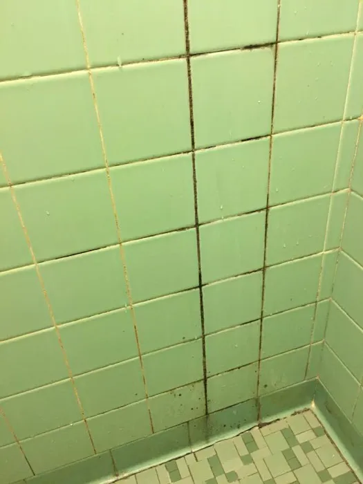 Royal Treatment Picture 4