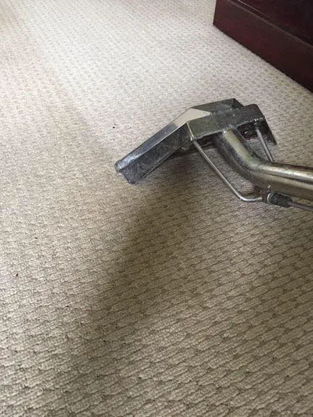 Royal Treatment Picture 7