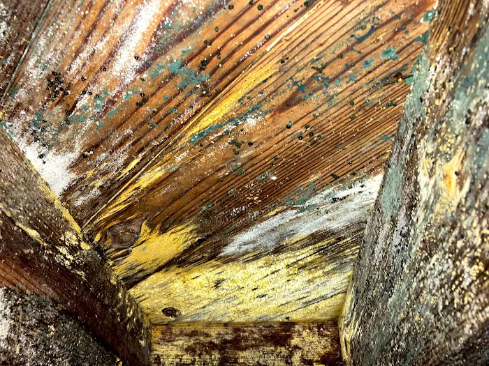 Crawlspace Medic of Columbia Picture 10