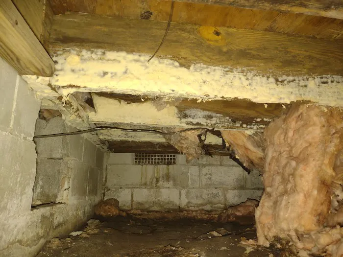 Crawlspace Medic of Columbia Picture 3