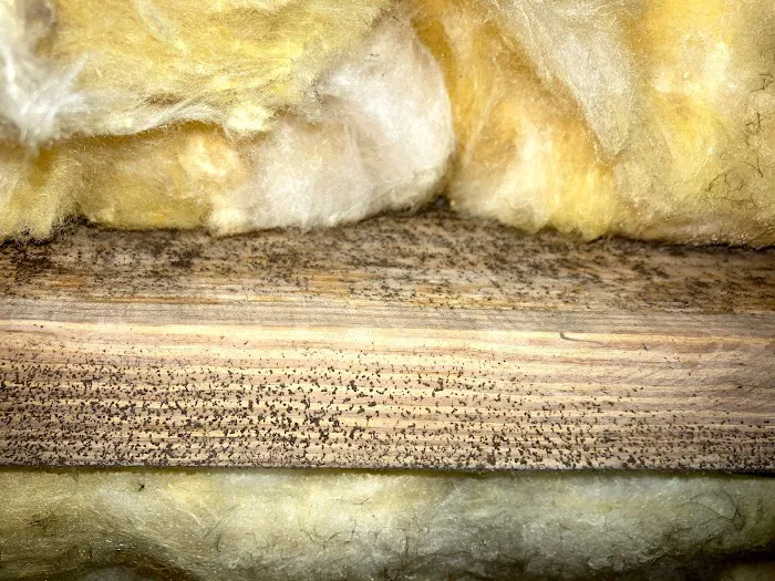 Crawlspace Medic of Columbia Picture 9