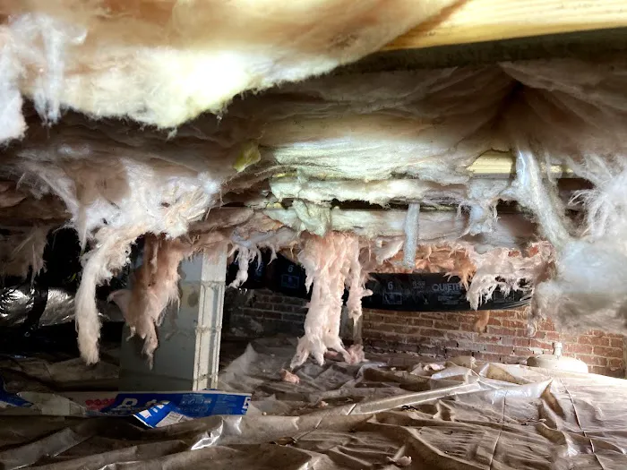 Crawlspace Medic of Columbia Picture 6