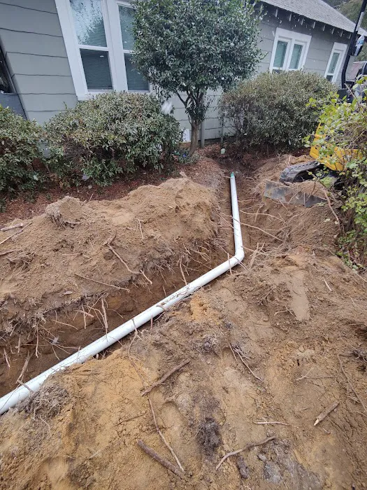 WeCo Rooter Picture 6