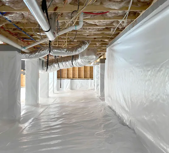 Crawl Space Brothers Picture 4