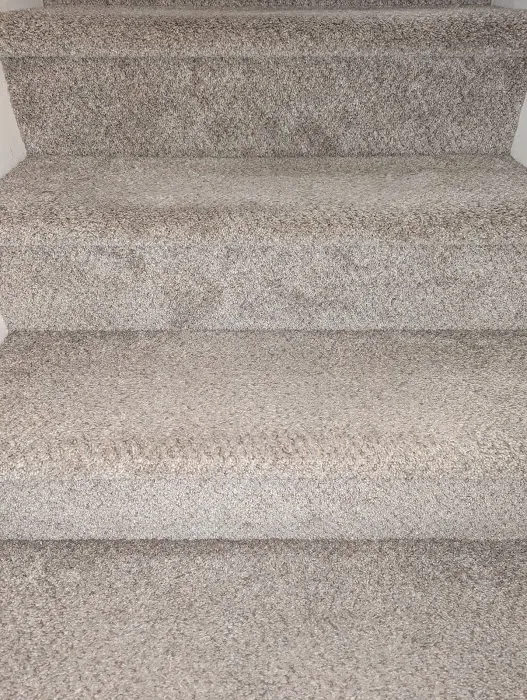 Stanley Steemer Picture 1