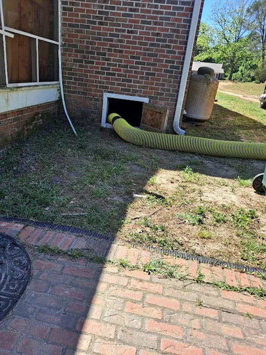 Stanley Steemer Picture 10