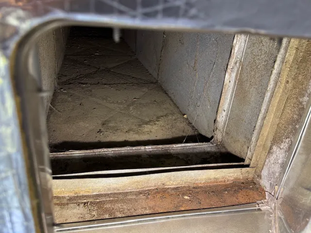 Stanley Steemer Picture 6