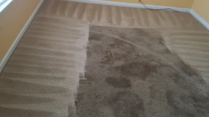 A.M.A Enterprises Picture 8