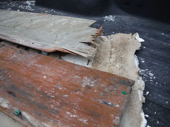 Biotek Environmental Mold Removal Columbia SC Picture 1