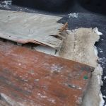 Biotek Environmental Mold Removal Columbia SC