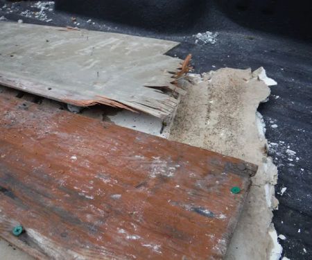 Biotek Environmental Mold Removal Columbia SC