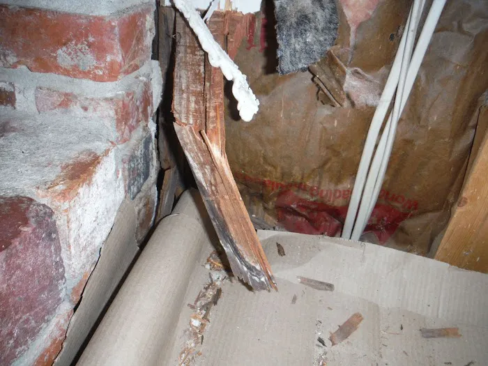 Biotek Environmental Mold Removal Columbia SC Picture 6