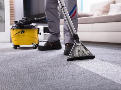 Biotek Environmental Mold Removal Columbia SC Picture 2