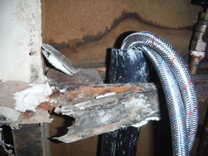 Biotek Environmental Mold Removal Columbia SC Picture 5