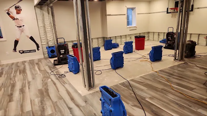 ADU Water Fire Mold Storm Picture 1