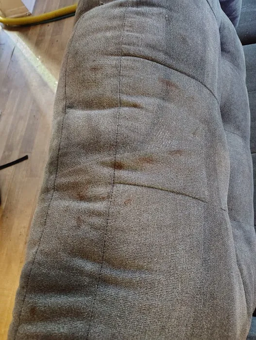 D&D Carpet Cleaning & Janitorial Picture 10