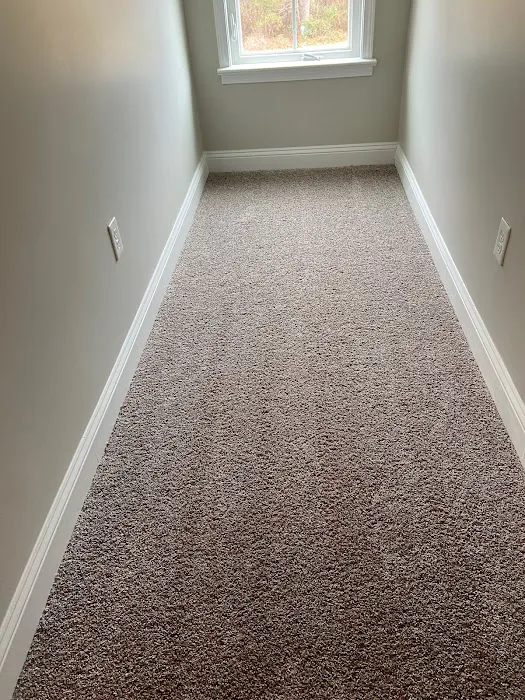 Whitehall Carpet Cleaners Picture 10