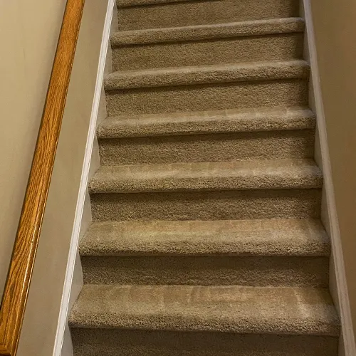 Whitehall Carpet Cleaners Picture 4