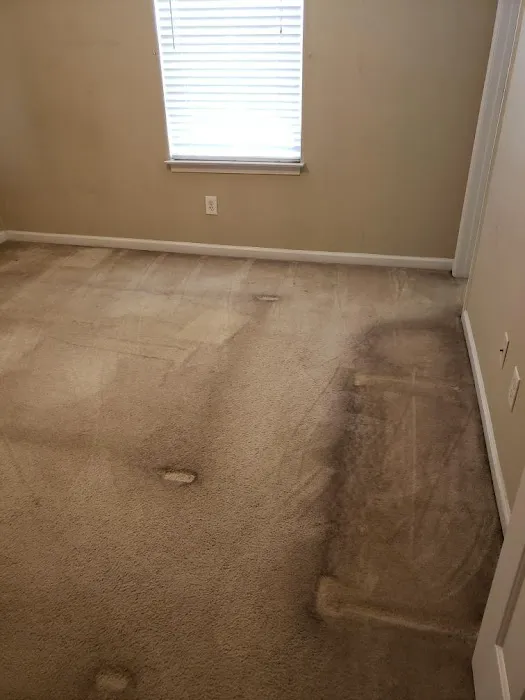 Quality Carpet Care & Restoration Picture 4