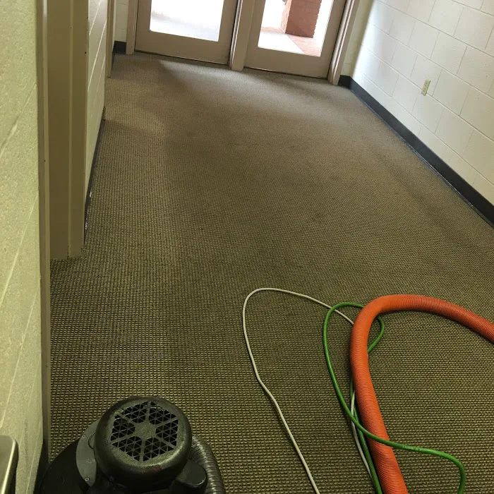 Quality Carpet Care & Restoration Picture 10