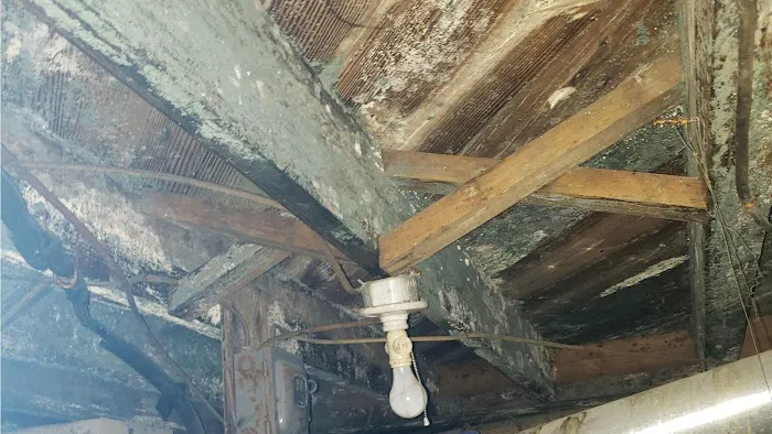 Environmental Mold Solutions LLC Picture 4