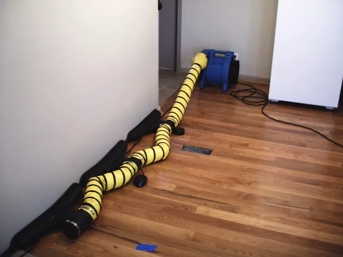 Environmental Mold Solutions LLC Picture 9