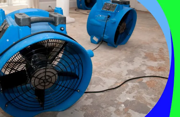 Environmental Mold Solutions LLC Picture 10