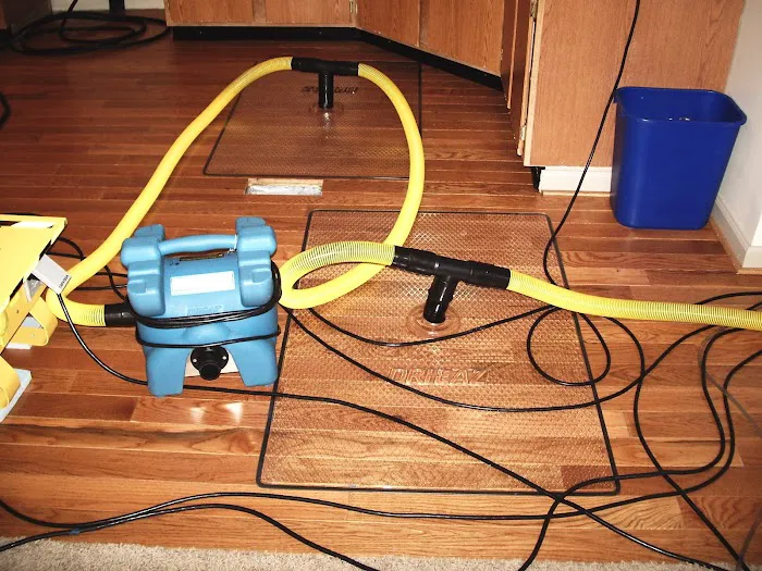 Environmental Mold Solutions LLC Picture 3