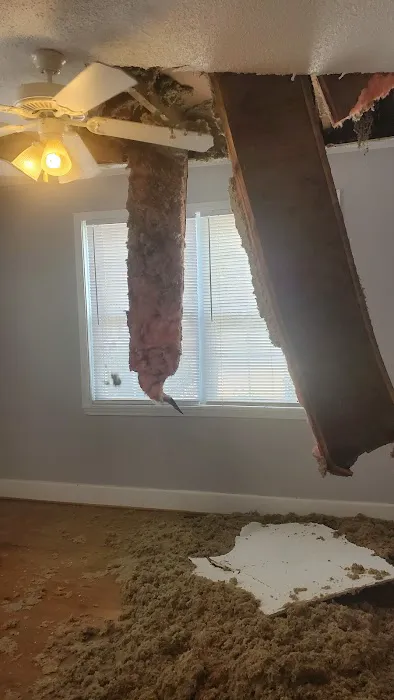 Carolina Ceilings Picture 5