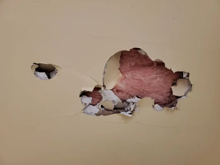 Carolina Ceilings Picture 3