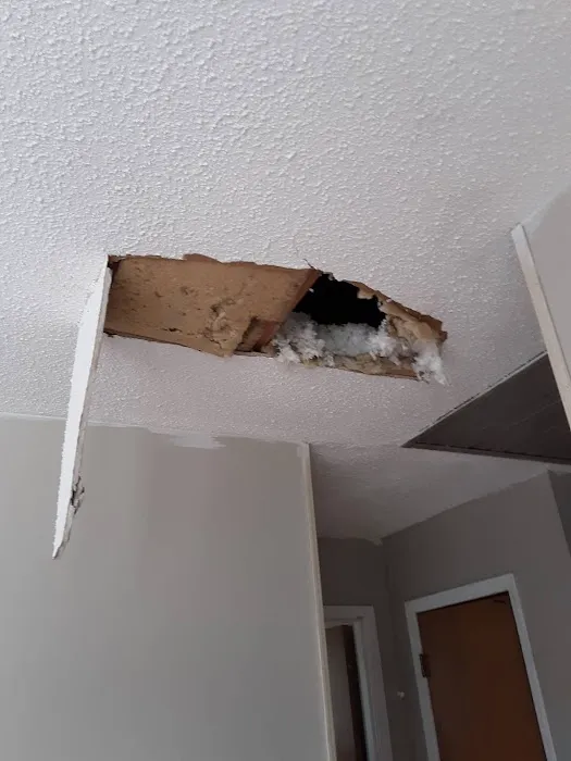 Carolina Ceilings Picture 6