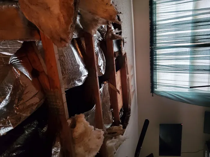 Carolina Ceilings Picture 9