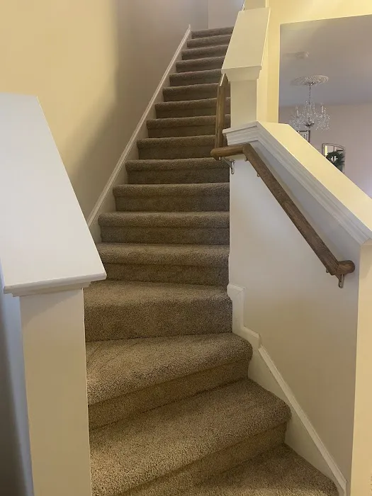 Duraclean Professional Services Picture 7